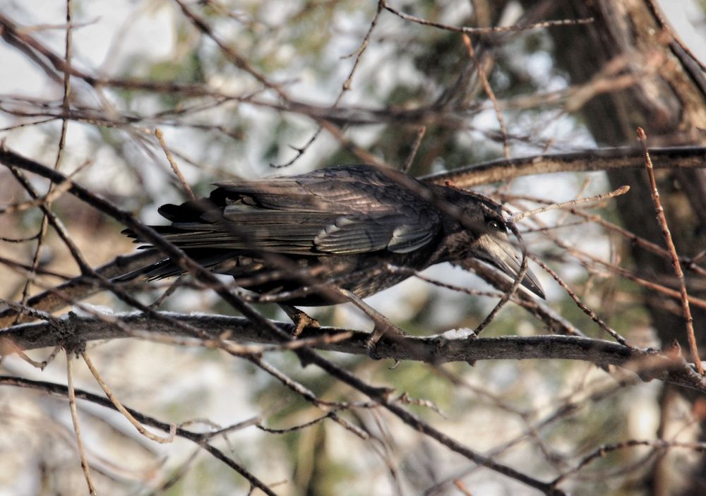 Photograph by Алексей Кроль