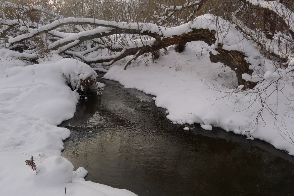 Photograph by Харис Шахмаметьев