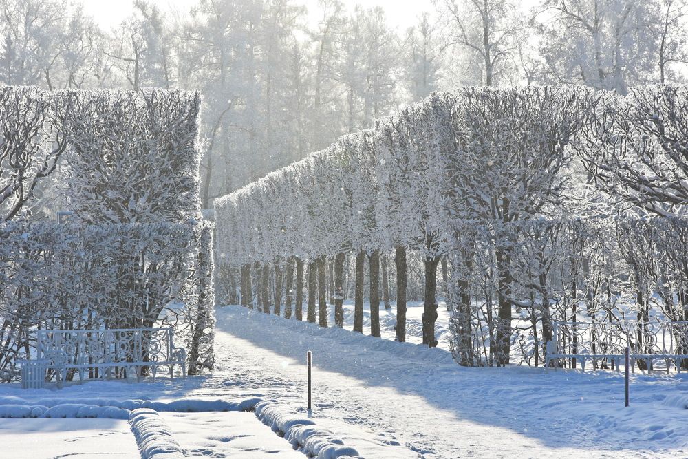 Царское Село, город Пушкин. Екатерининский парк.