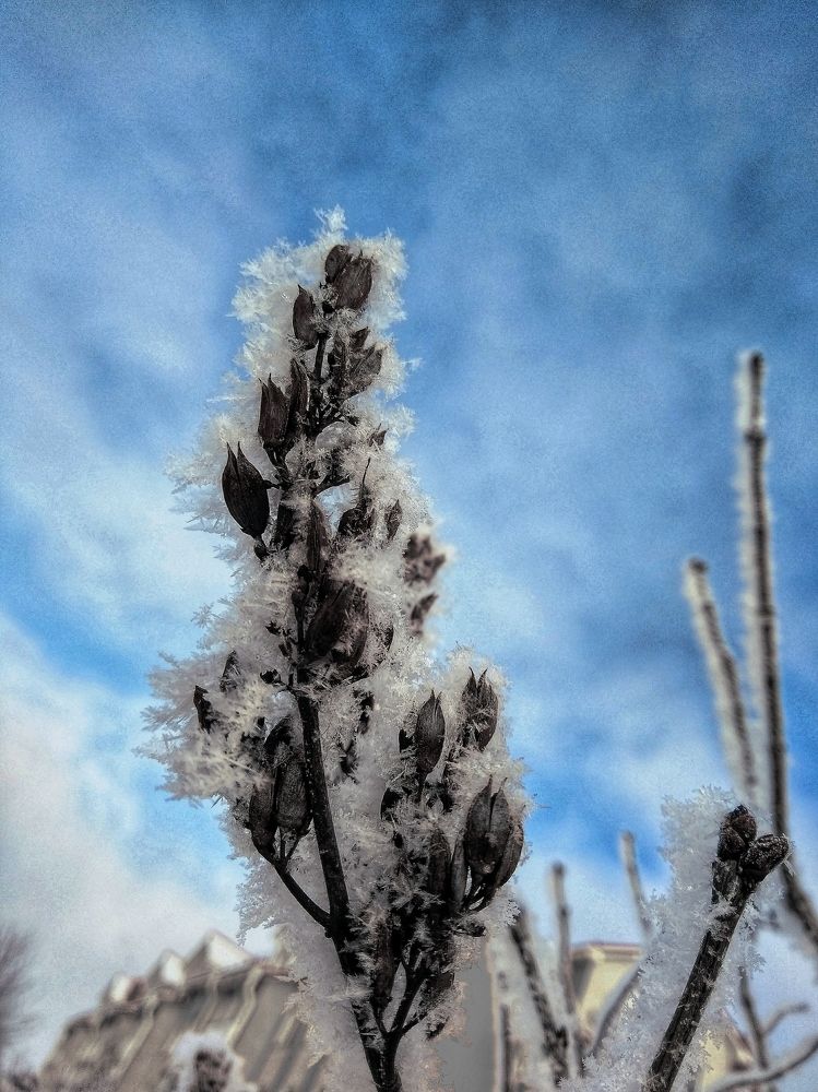 Photograph by Anastasia Uraeva