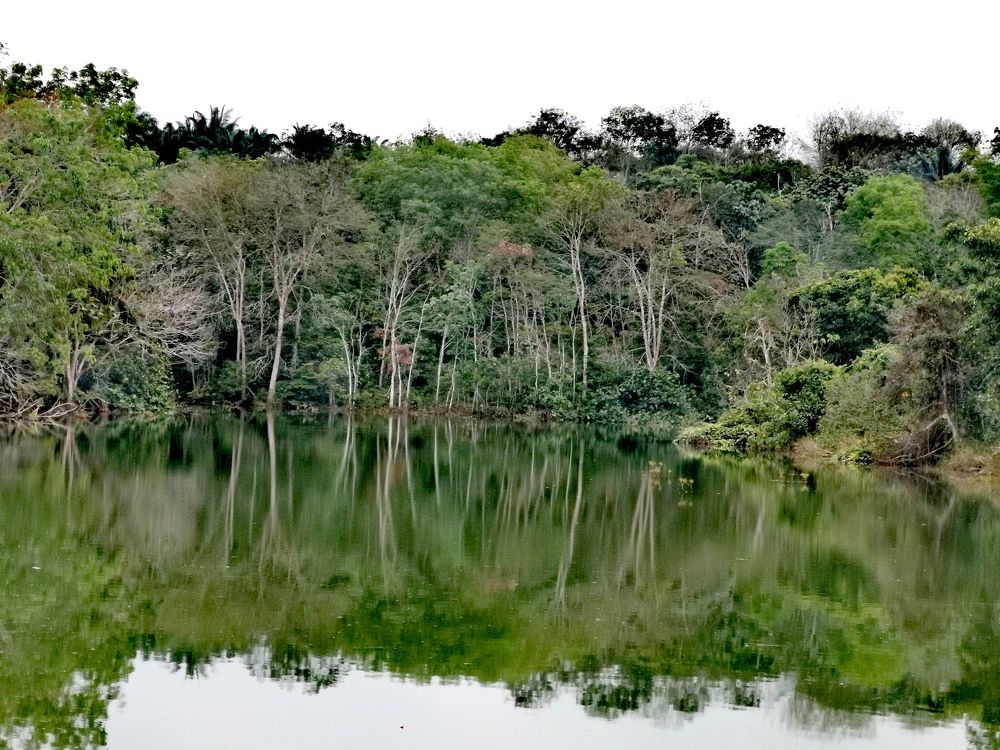 Photograph by Chunhou Poon