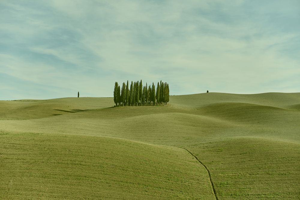 Photograph by Natalie Liedtke