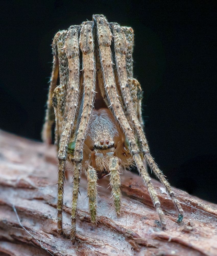 Photograph by Madhan Kumar Balaguru