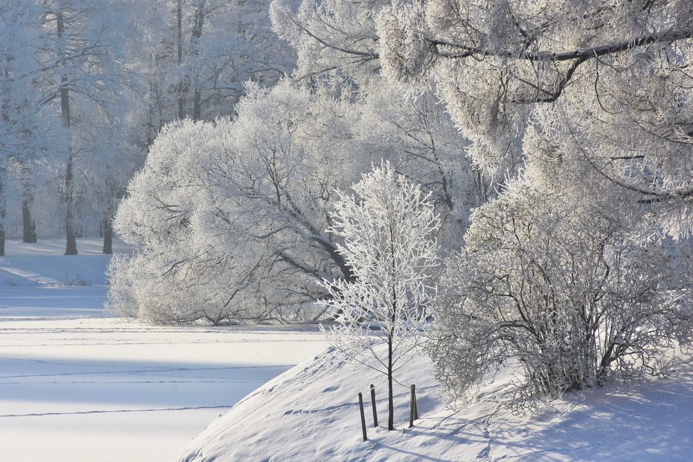 Photograph by Харис Шахмаметьев