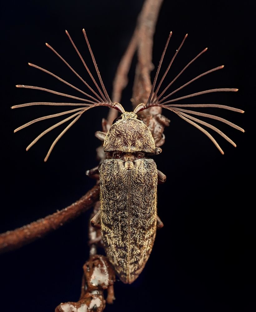 Photograph by Madhan Kumar Balaguru