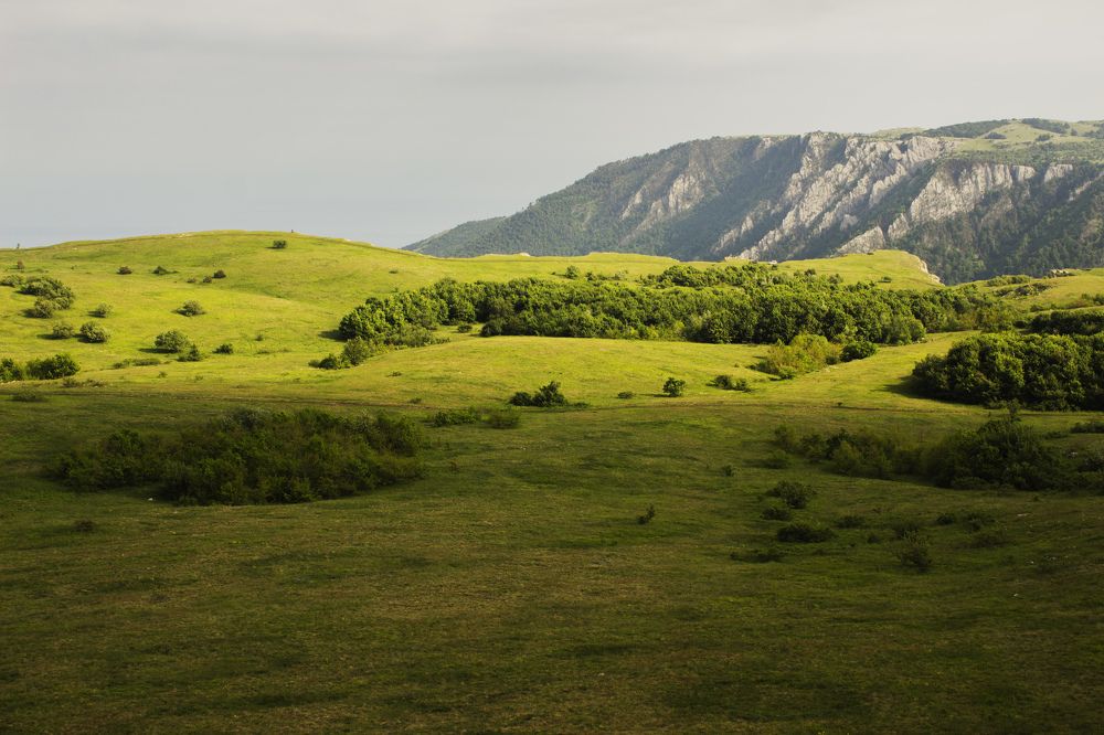 Photograph by Игорь Вишневский