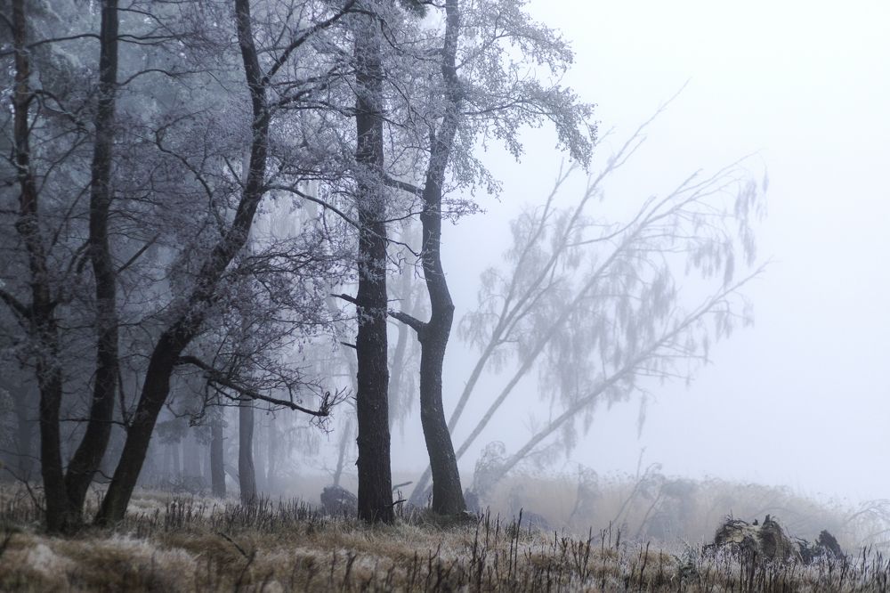 Photograph by Rolandas Valančauskas