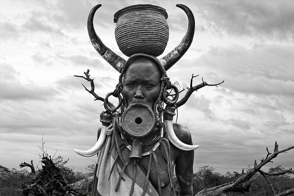 Фотография автора Svetlin Yosifov