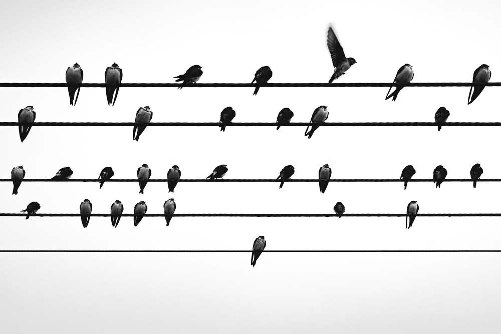 Photograph by Lucie Mojžíšová