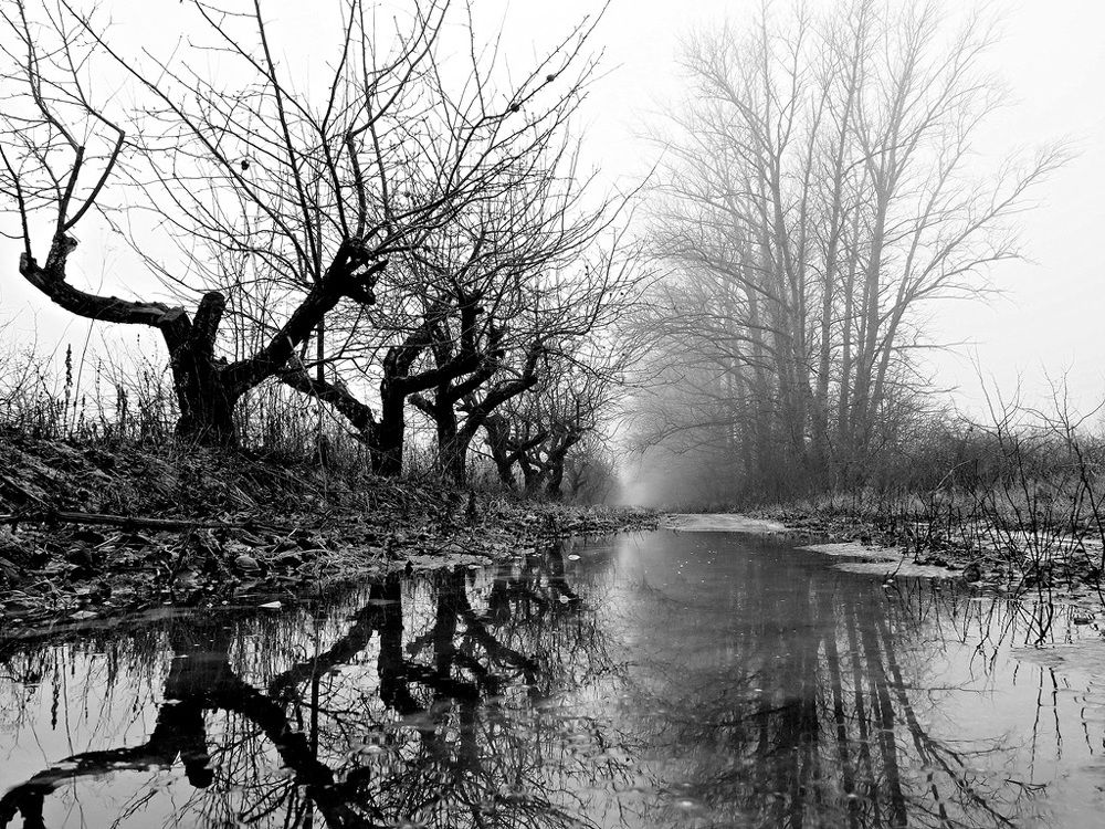 Photograph by Степанов Евгений