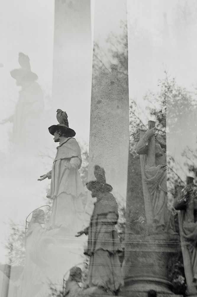 Photograph by Polina Bogomolova