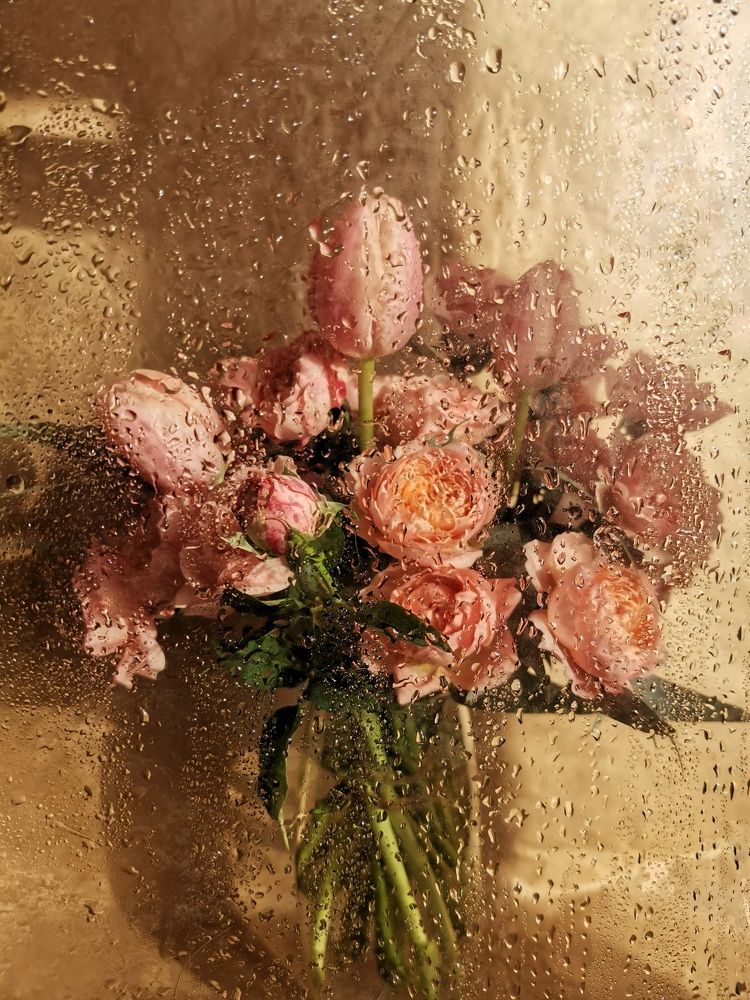 Photograph by Юлия Ледовская