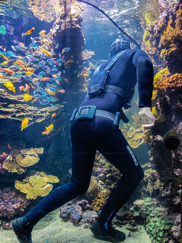 Photograph by Максим Яцушко