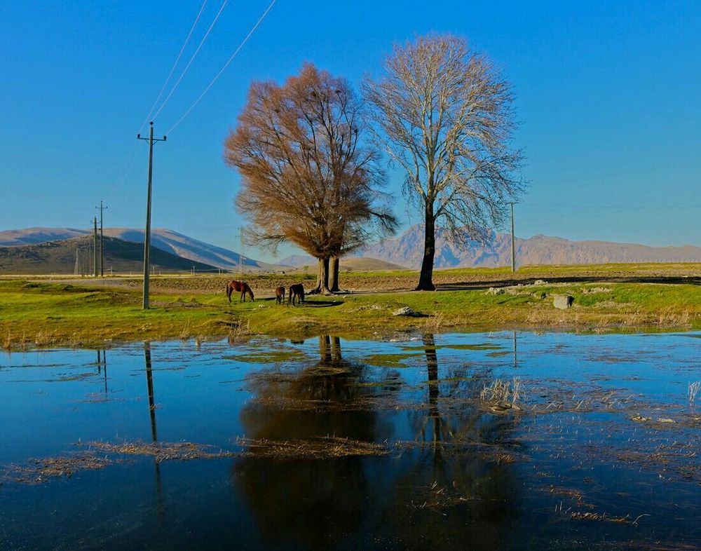 Photograph by Keyvan Sh.