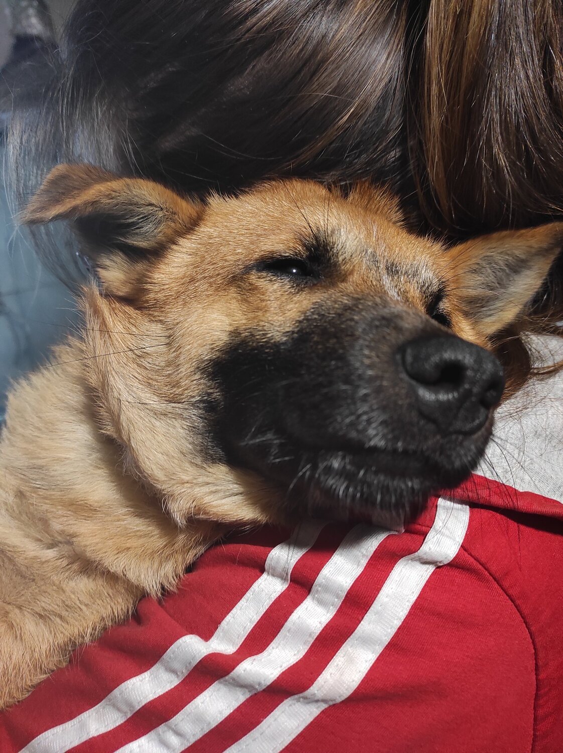 Photo #5890268