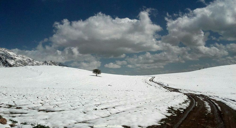 Photograph by Keyvan Sh.