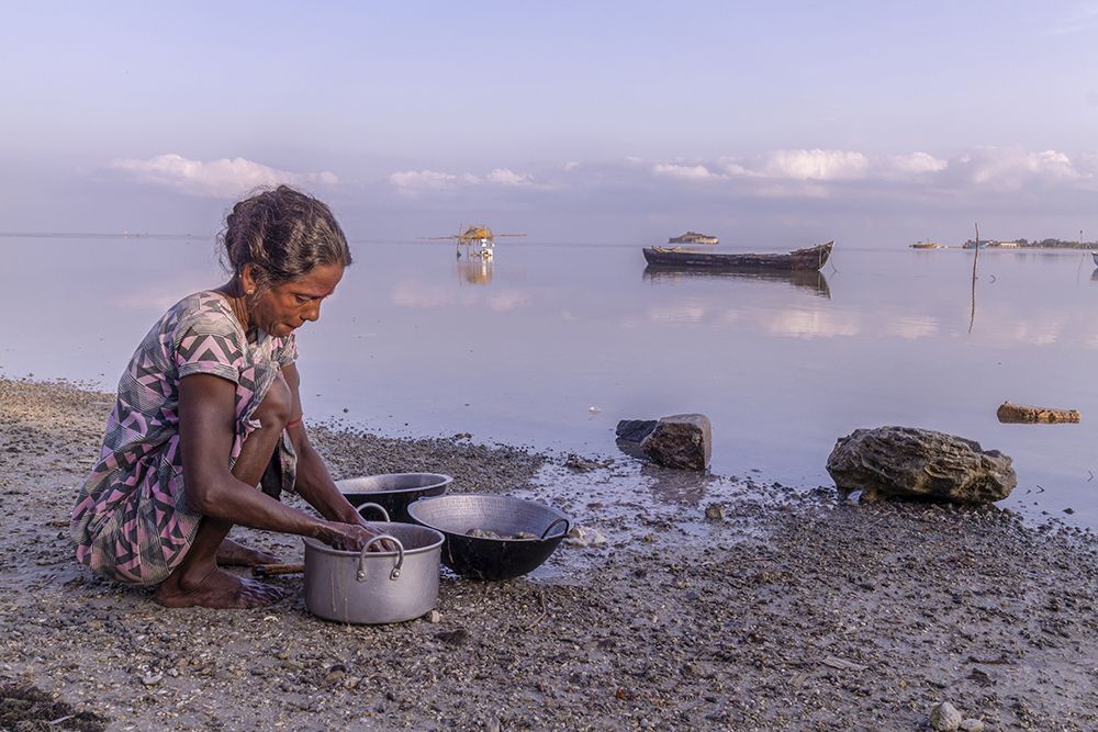 Photograph by Shreeharan Rajasingham