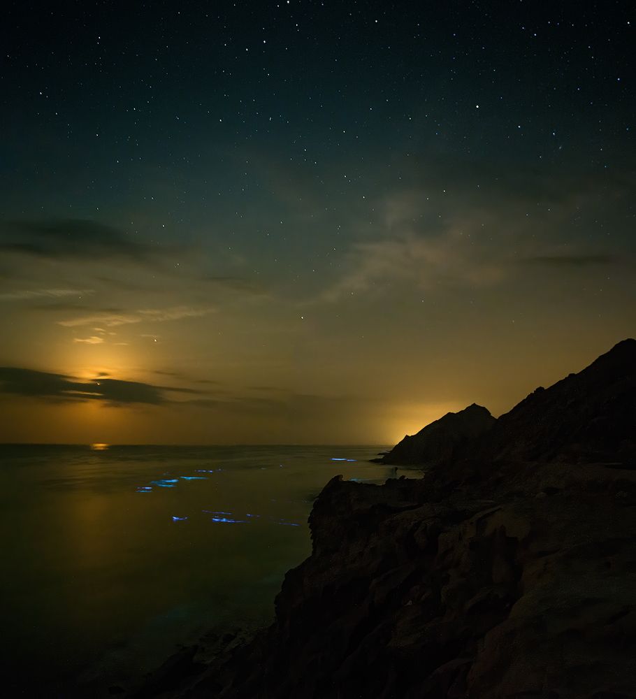 Фотография автора Shahrooz Esmaili