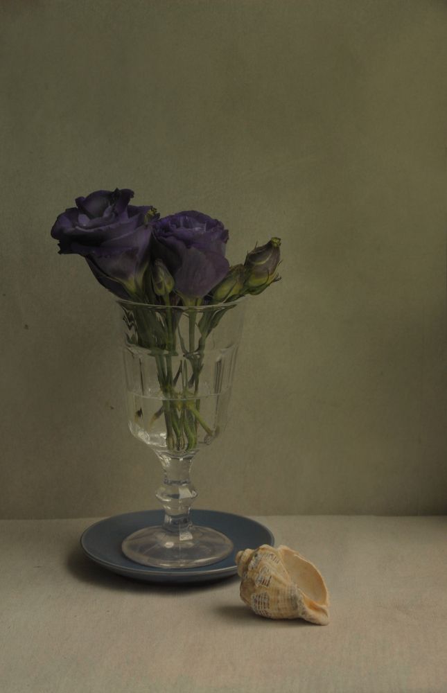 Photograph by Ирина Ямчицкая