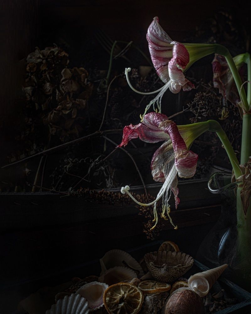 Photograph by Oxana Yushchenko