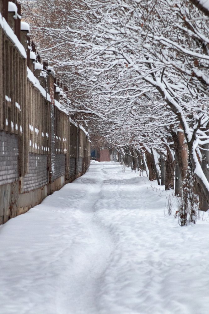 Photograph by Дамир Давронов