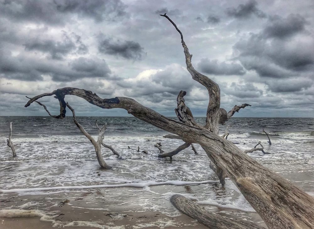 Photograph by Галина Ломако