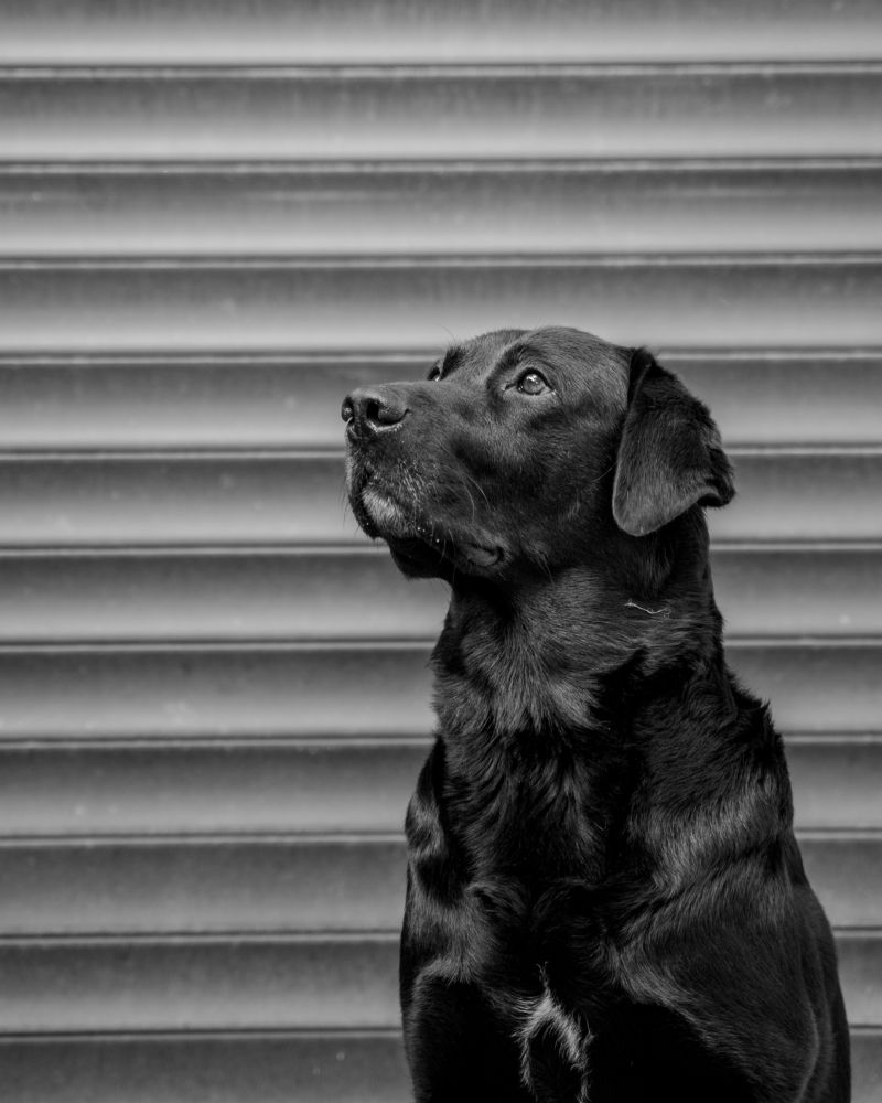 Photograph by Maksim Goncharov