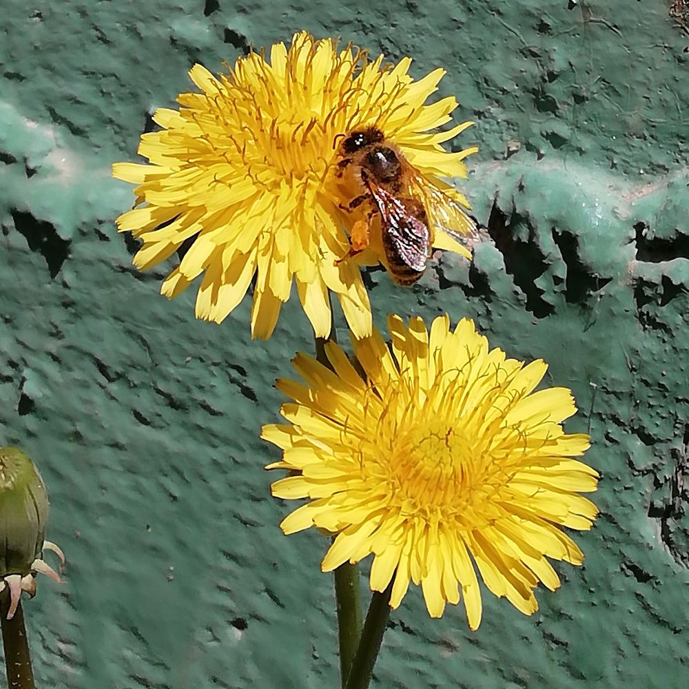 Photograph by Жанымерке Хайбулда