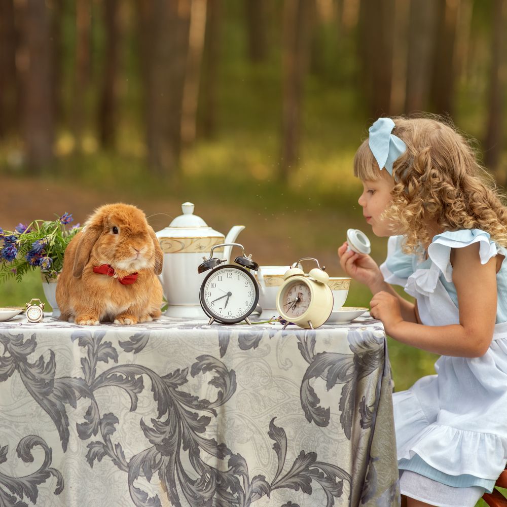 Алиса в стране чудес