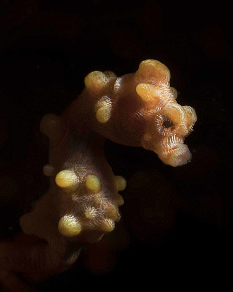 Photograph by Deniz muzaffer Gokmen