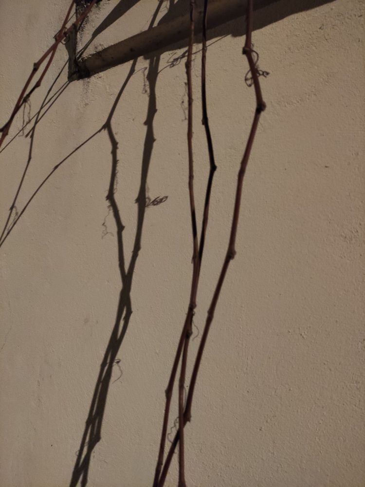 Photograph by rusenescu ramona