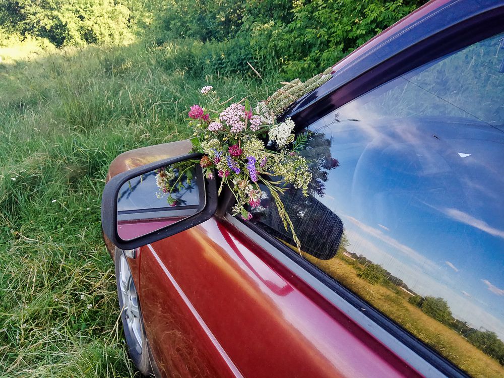 Photo #5890444