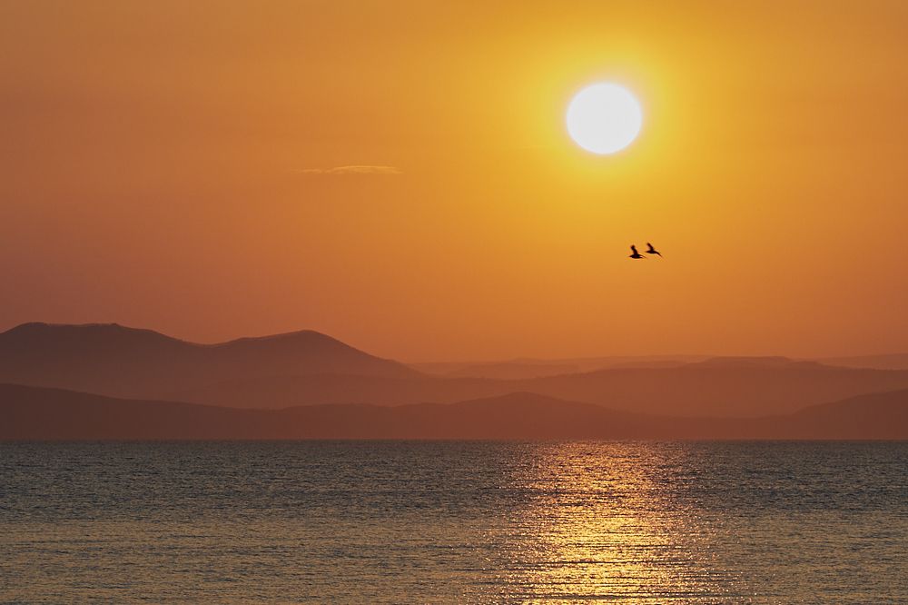 Photograph by Сергей Харитонов