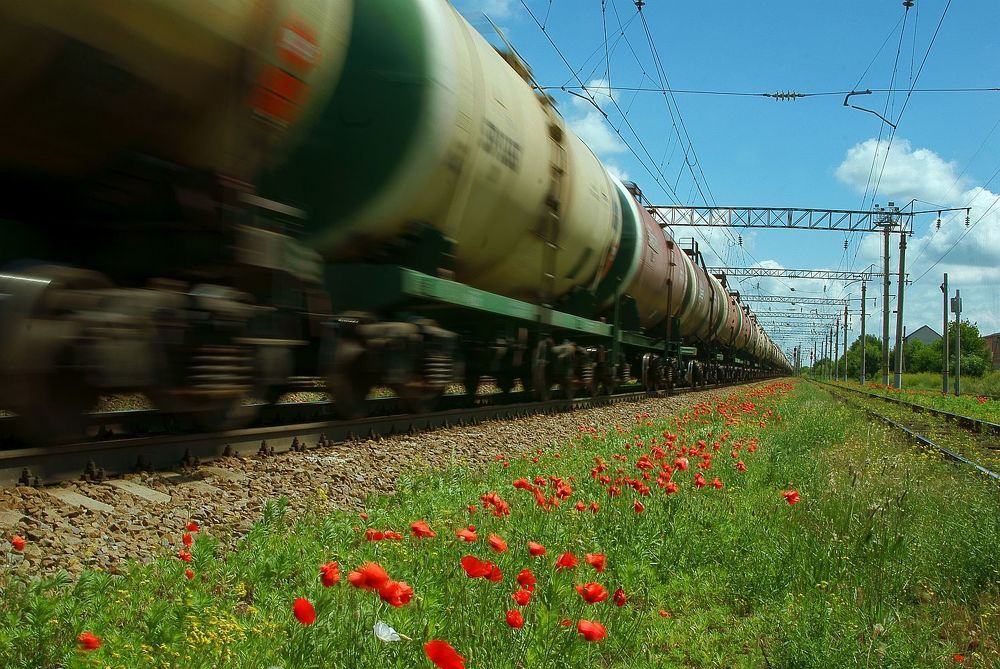 Photograph by Михаил Каштанов