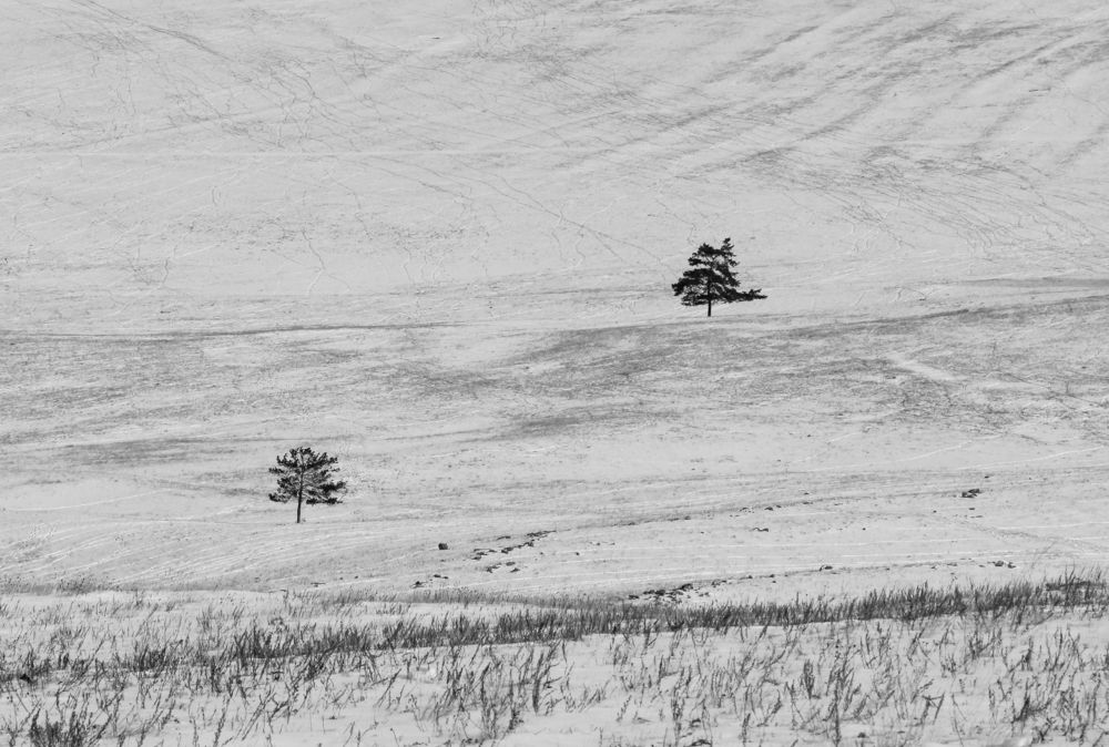 Photograph by Татьяна Шелудяк