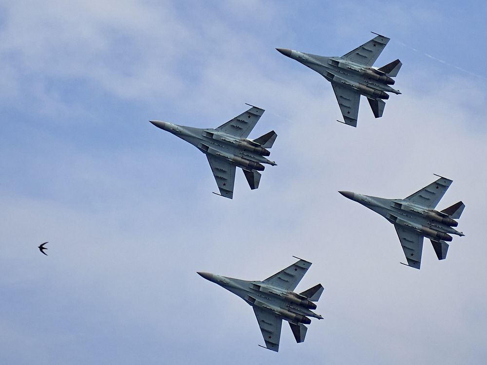 Все мы птицы