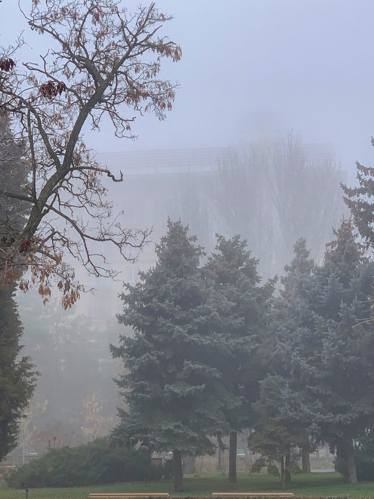 Photograph by Полина Галянина