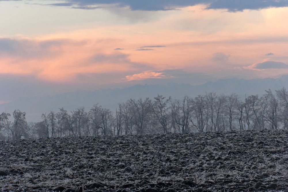 Зимнее  утро