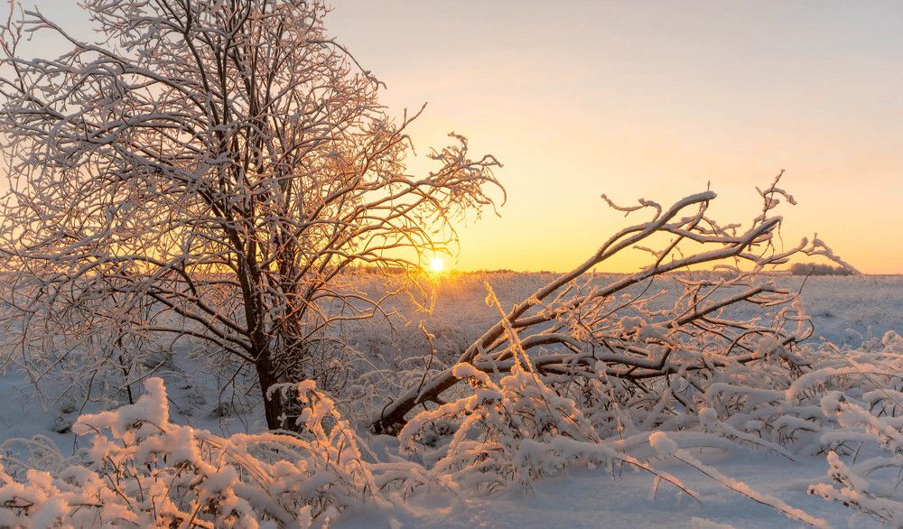 "Утро красит нежным светом..."