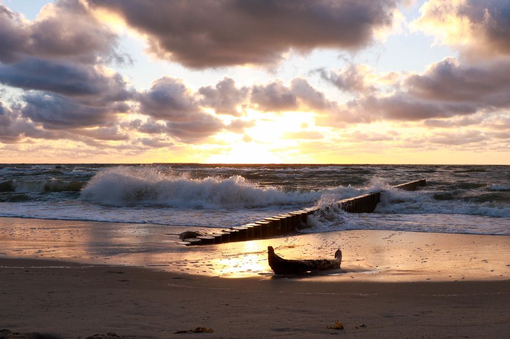 Photograph by Виктория