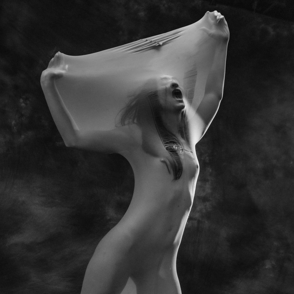 Photograph by Sven Rok