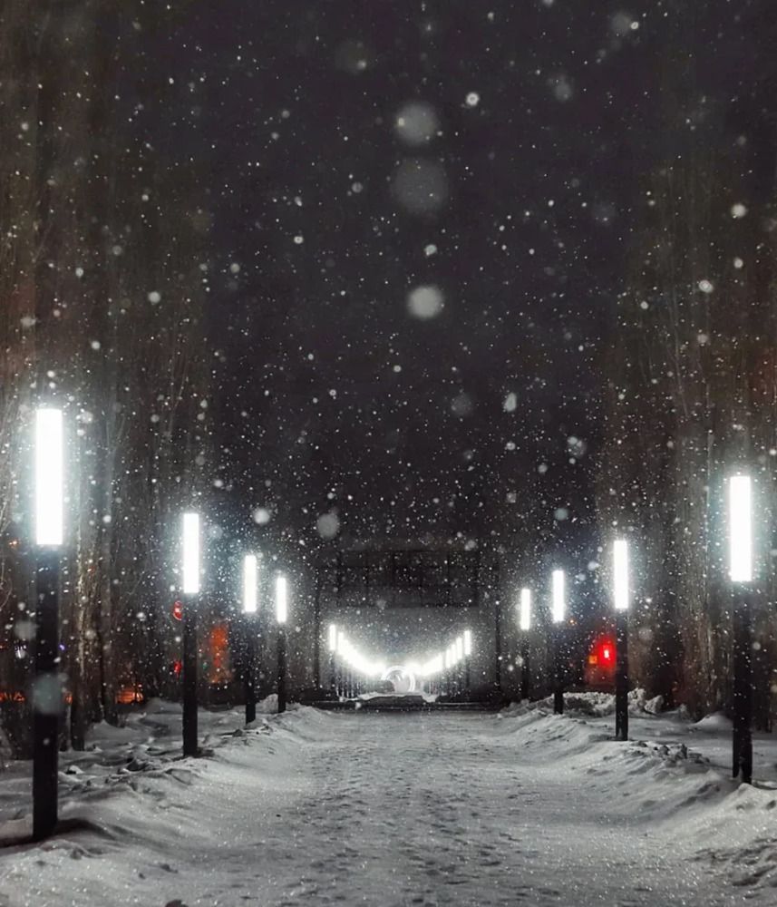 Photograph by Анастасия Власова