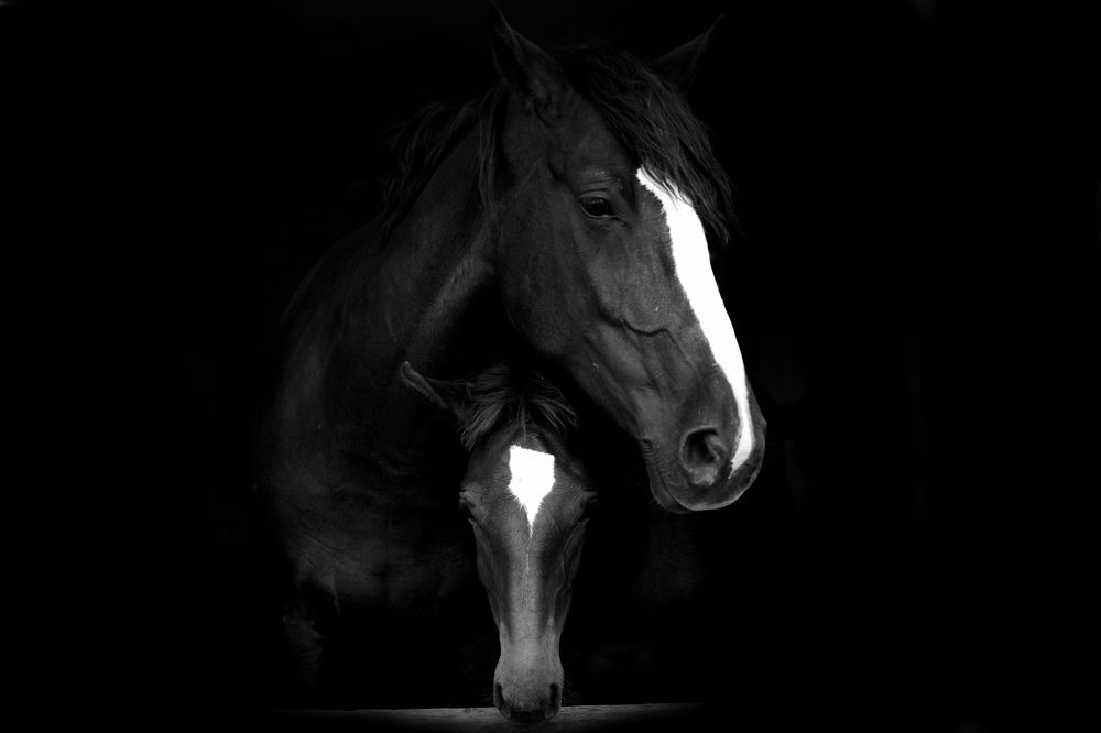 Фотография автора Юлія