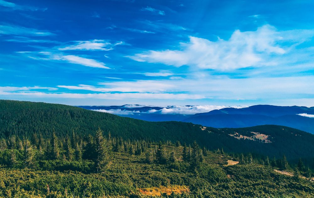 Photograph by Alekseeva Marina