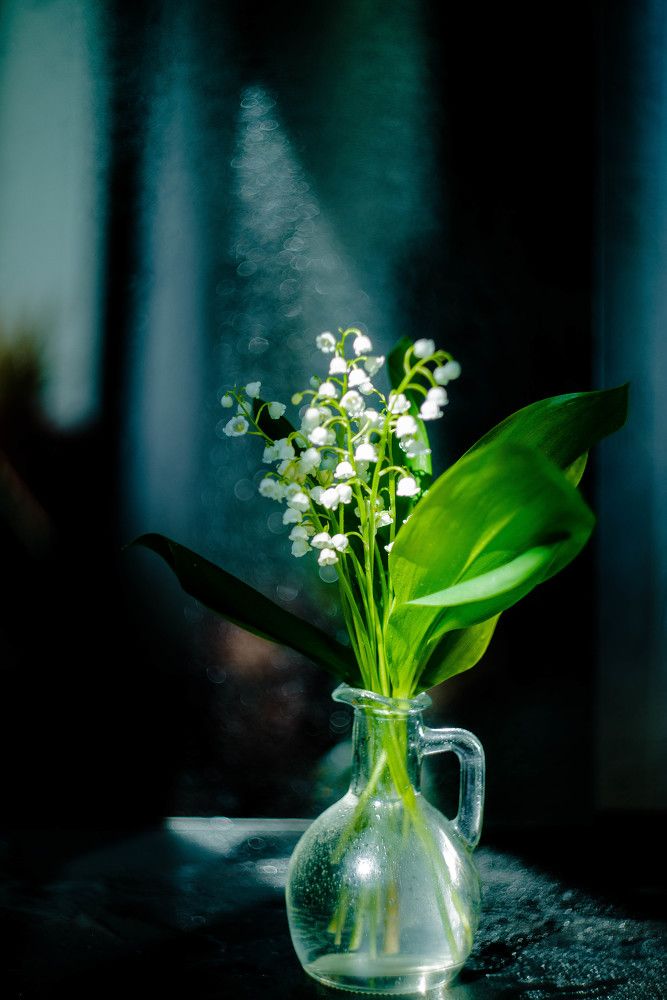 Photograph by Наталья Лещинская