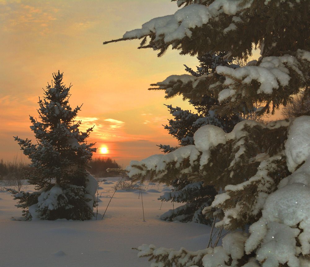 Холодное январское солнце.