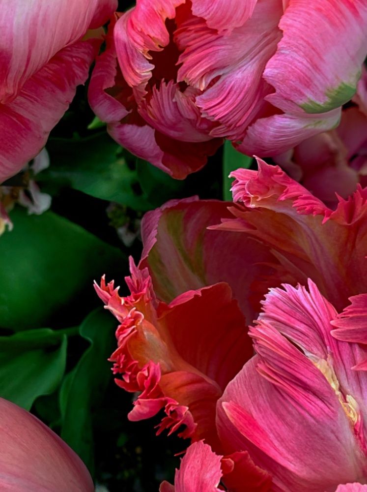 Photograph by Oxana Yushchenko