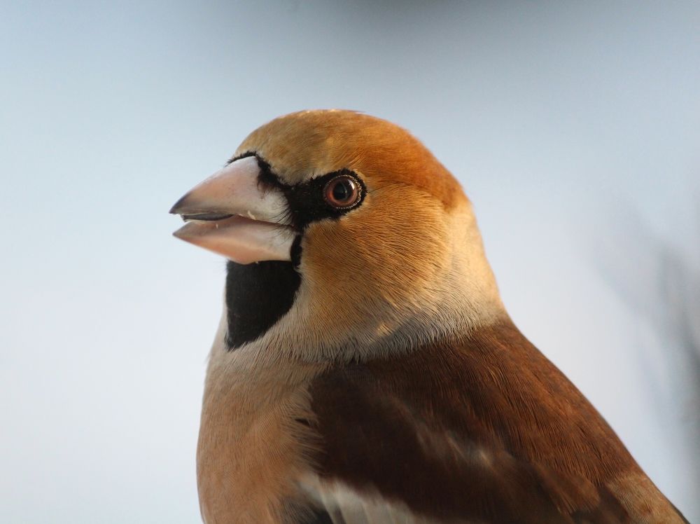 Photograph by Юлия Серазетдинова