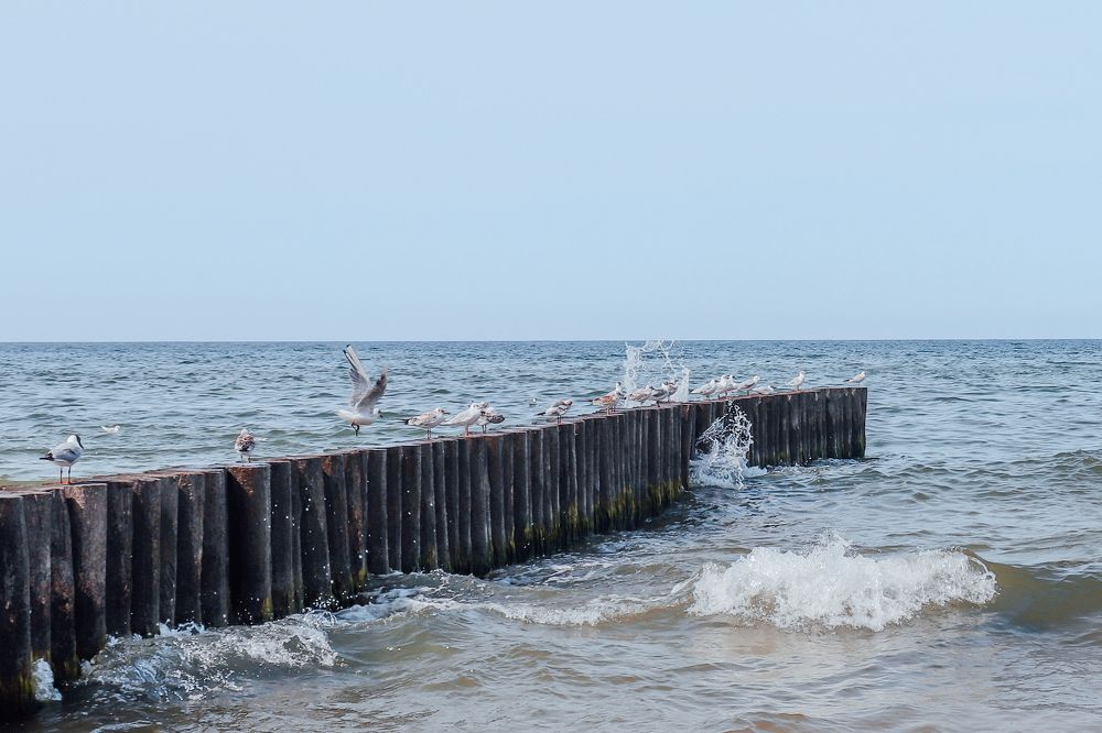 Photograph by Наталья Лыкова