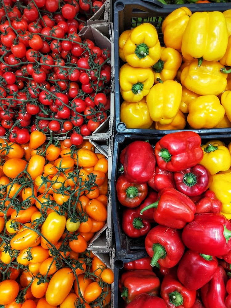 Photograph by Anna Pelih